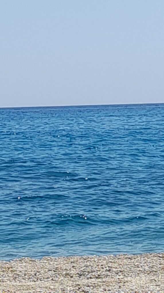 Rondinella